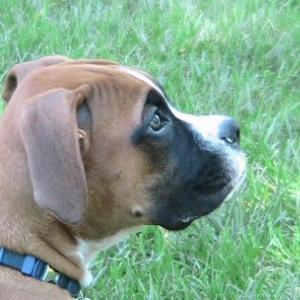 pretty profile