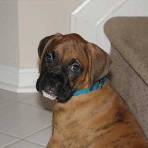 First Day Home