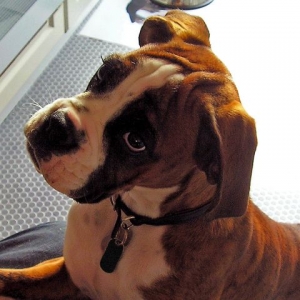 Biff 4 months