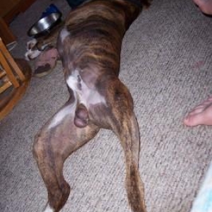 Please don't disturb me, i'm too comfortable!