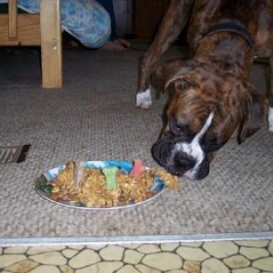 It's my 1st Bday!