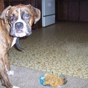 My 1st birthday!