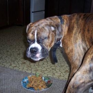 Hank's first birthday!
