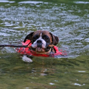 Paddling