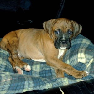 such a young man already (6 1/2 wks)