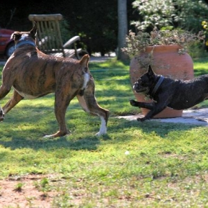 Playtime