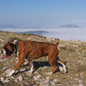Above the clouds