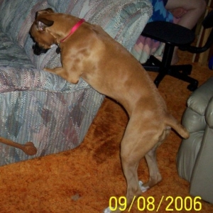 Sophie (will be 6 mo end of Sept)