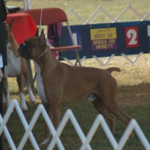 AJ - ABC Regional 2006