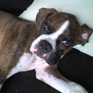 I'm trying to sleep!