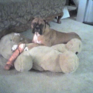 Fuzzy pic from cell-she loves her bear!