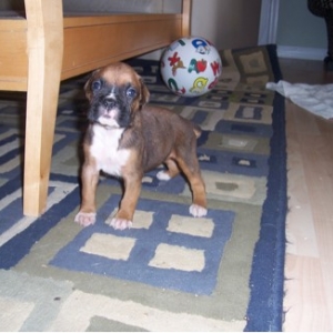 Newborn Darlin - Such a tough girl!