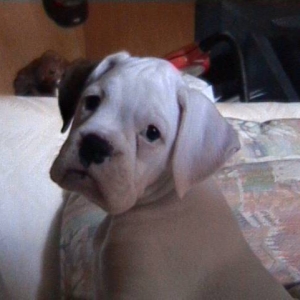 TaTanka's lil' sister