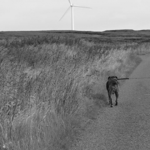 The Long Walk Home