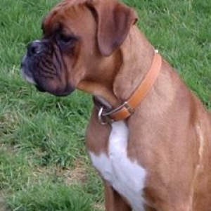 Harvey 10 months