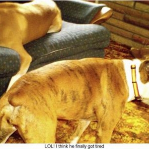 passedout