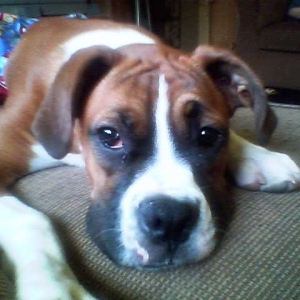 sadie11