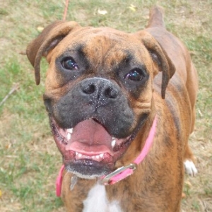 Smile!