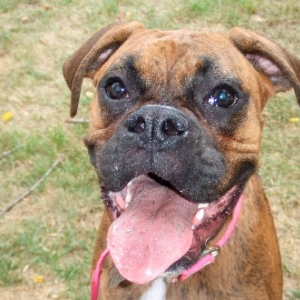 Happy Girl!