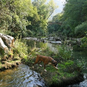 trekking