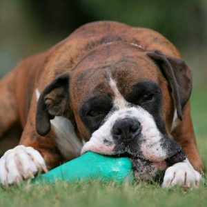Concentration