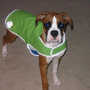 Rudy's New Jacket