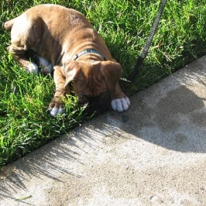 Lovin the grass!