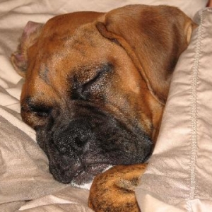 tylersleeping_1