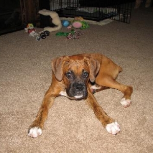 Looong Legs!