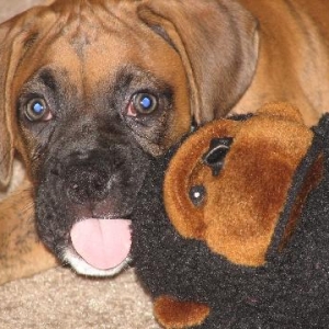 Tyler and his favorite toy