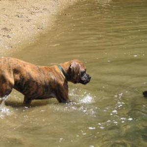 First time in water