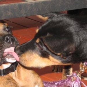 tyler and his girlfriend making out