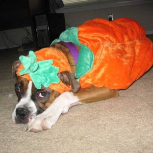 Can we take this off now?