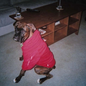 bruno