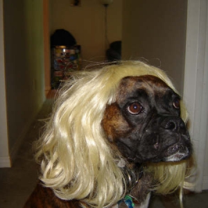 bruno