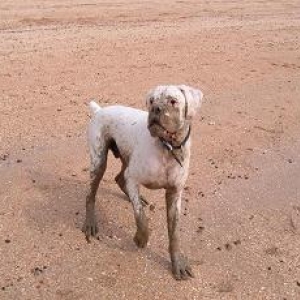Mud bath