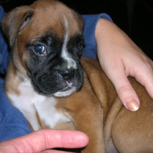 Kalel at 5 weeks of age