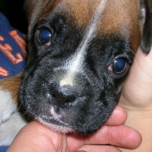 Kalel close-up at 5 weeks