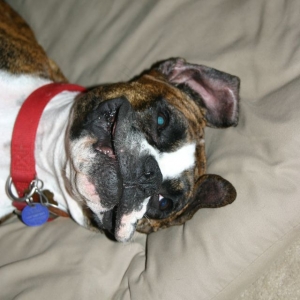 Molly acting silly
