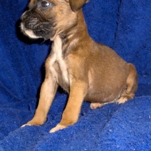 Ry @ 6 weeks