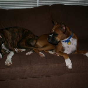 Hey sis, thats Dads spot!