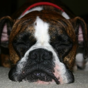 Pooped