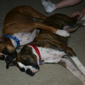 Spooning with Sis