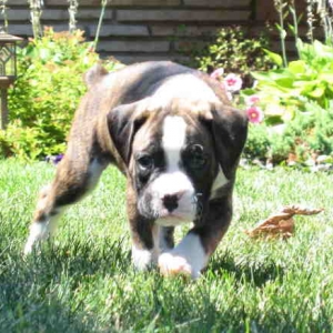 Our new little boy