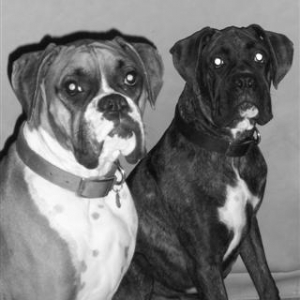 Samantha and Syd