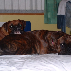 Looking cute this morning on mums bed