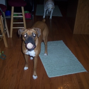 Penny with her chocolate ball.