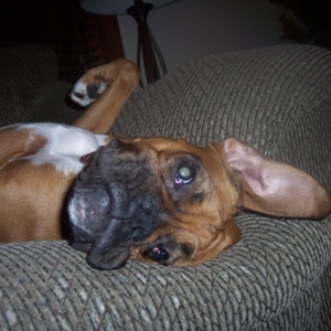 Silly girl