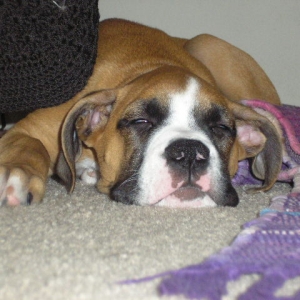 SLEEPY_TIME1