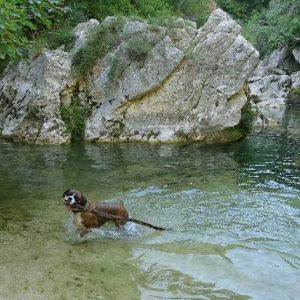 Prize stick